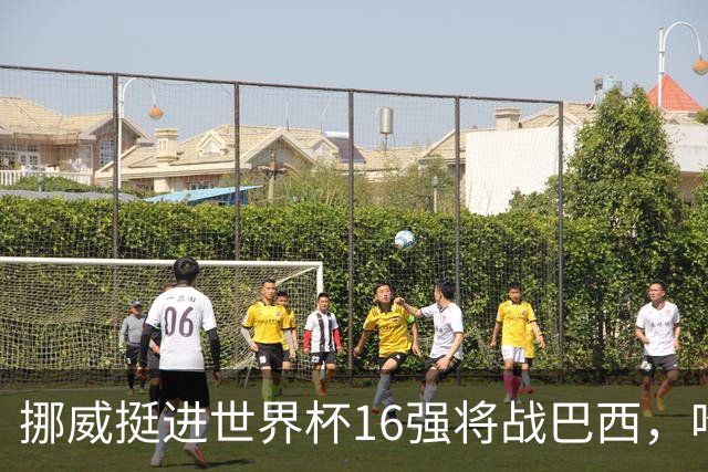 挪威挺进世界杯16强将战巴西，哈兰德发声